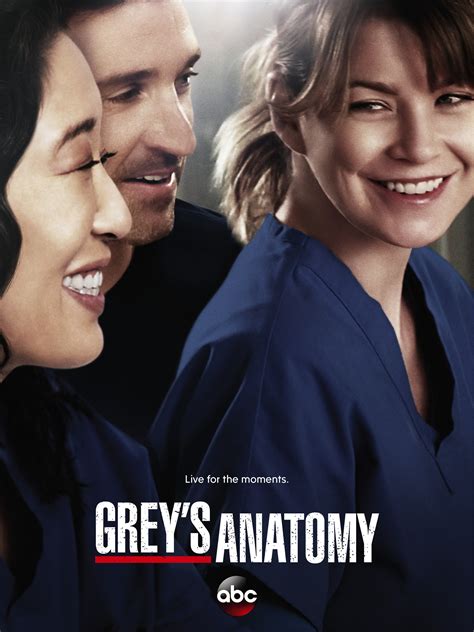 Grey's Anatomy season 10 .